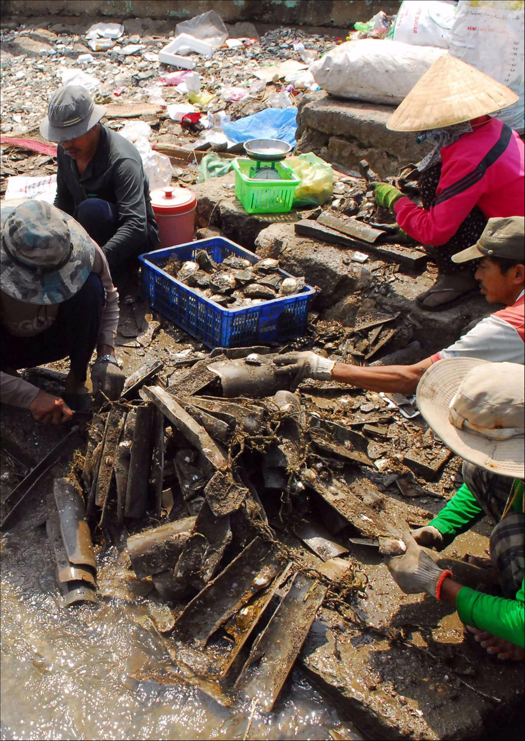 [-]Hòn[-]đảo[-]hoang[-]sơ[-]ngay[-]ngoại[-]thành[-]Sài[-]Gòn
